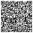 QR code with Profit Line contacts