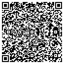 QR code with Pure Salt & Bleach Co contacts