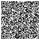 QR code with Publications Services contacts