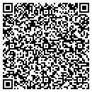 QR code with Printing Papers Inc contacts