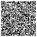 QR code with Pyes Mobile Welding contacts