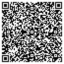 QR code with Professional Painting contacts