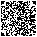 QR code with D Cohen contacts