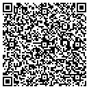 QR code with Cellular Accessories contacts