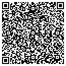 QR code with Blue Chameleon Ventures contacts