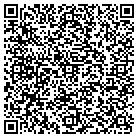 QR code with Blitz Financial Service contacts