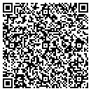 QR code with Pursuit Aviation Inc contacts