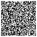 QR code with Baldellis Home Repair contacts