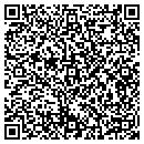 QR code with Puertoricointerno contacts