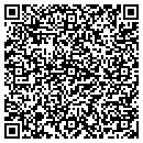 QR code with PPI Technologies contacts
