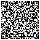 QR code with Carter Nathan P contacts
