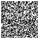 QR code with Precise Satellite contacts