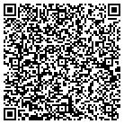 QR code with Plumb Elementary School contacts