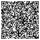 QR code with Puro Systems Inc contacts