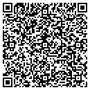 QR code with Cruizin' Solutions contacts