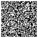 QR code with Chelatna Lake Lodge contacts