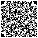 QR code with Caribbean Blue Pools contacts