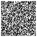 QR code with Premier Auto Care Inc contacts
