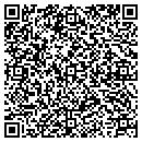 QR code with BSI Financial Service contacts