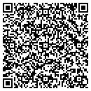 QR code with Pp Electrical Inc contacts