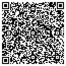QR code with Carson's Carpet Inc contacts