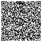 QR code with Publication Solutions LLC contacts