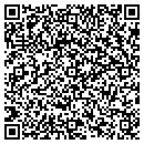 QR code with Premier Motor Co contacts