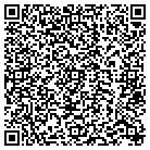 QR code with Pulaski In-Home Service contacts