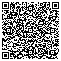 QR code with Hawaii contacts