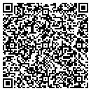 QR code with Premire Technology contacts