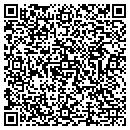 QR code with Carl M Fierstein MA contacts