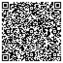 QR code with Cjs Firearms contacts