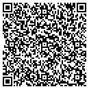 QR code with Pulse EFT Assn contacts