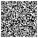 QR code with Professional Tile Co contacts