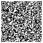 QR code with Professional Travel Corp contacts