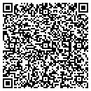 QR code with Carters Tax Service contacts