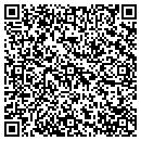 QR code with Premier Income Tax contacts