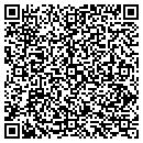 QR code with Professional Block Inc contacts