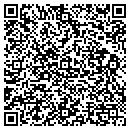 QR code with Premier Renovations contacts