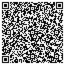 QR code with Carroll Robert CPA contacts