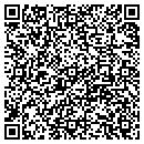 QR code with Pro Styles contacts