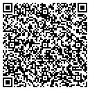 QR code with Punky's Playhouse contacts