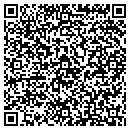 QR code with Chintz Antiques Inc contacts