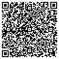 QR code with Sashon contacts