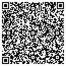 QR code with Cook Photography Inc contacts