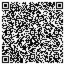 QR code with Pwfi Enterprises Inc contacts