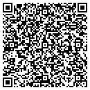 QR code with Backstreet Publishing contacts