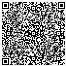 QR code with Blue Zoo Web Sites LLC contacts