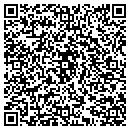 QR code with Pro Style contacts