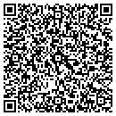 QR code with PSF Investment Inc contacts